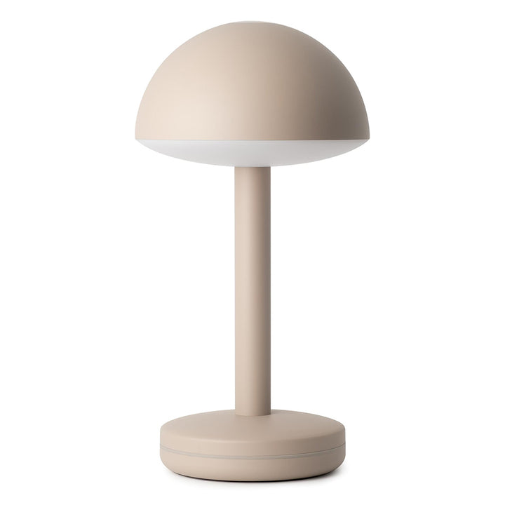 humble bug in beige on white background