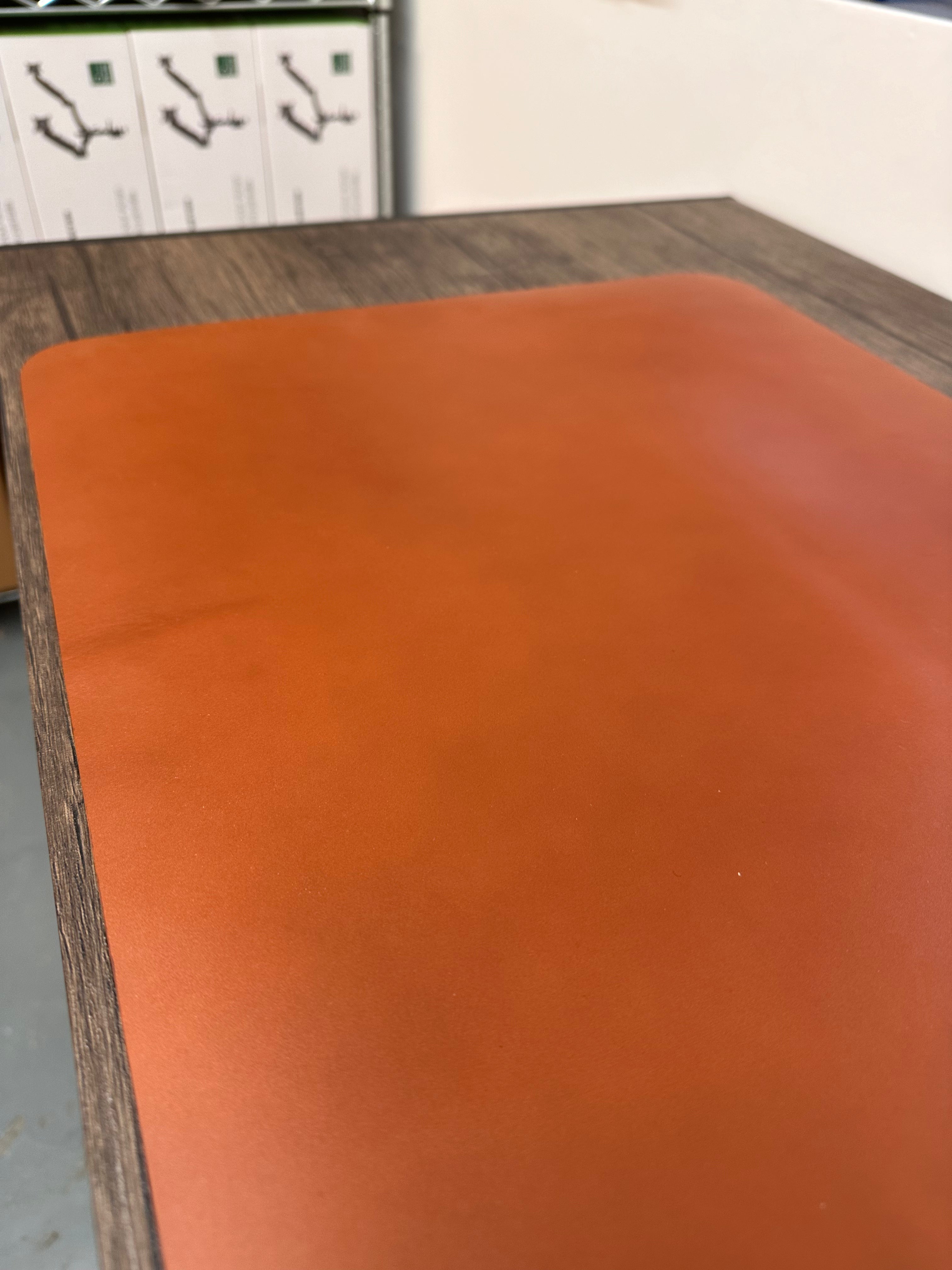 Carl Friedrik Large Desk Mat
