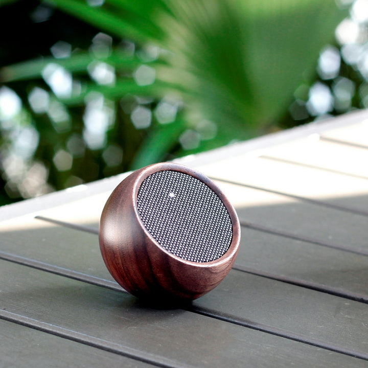 gingko walnut speaker outside on table