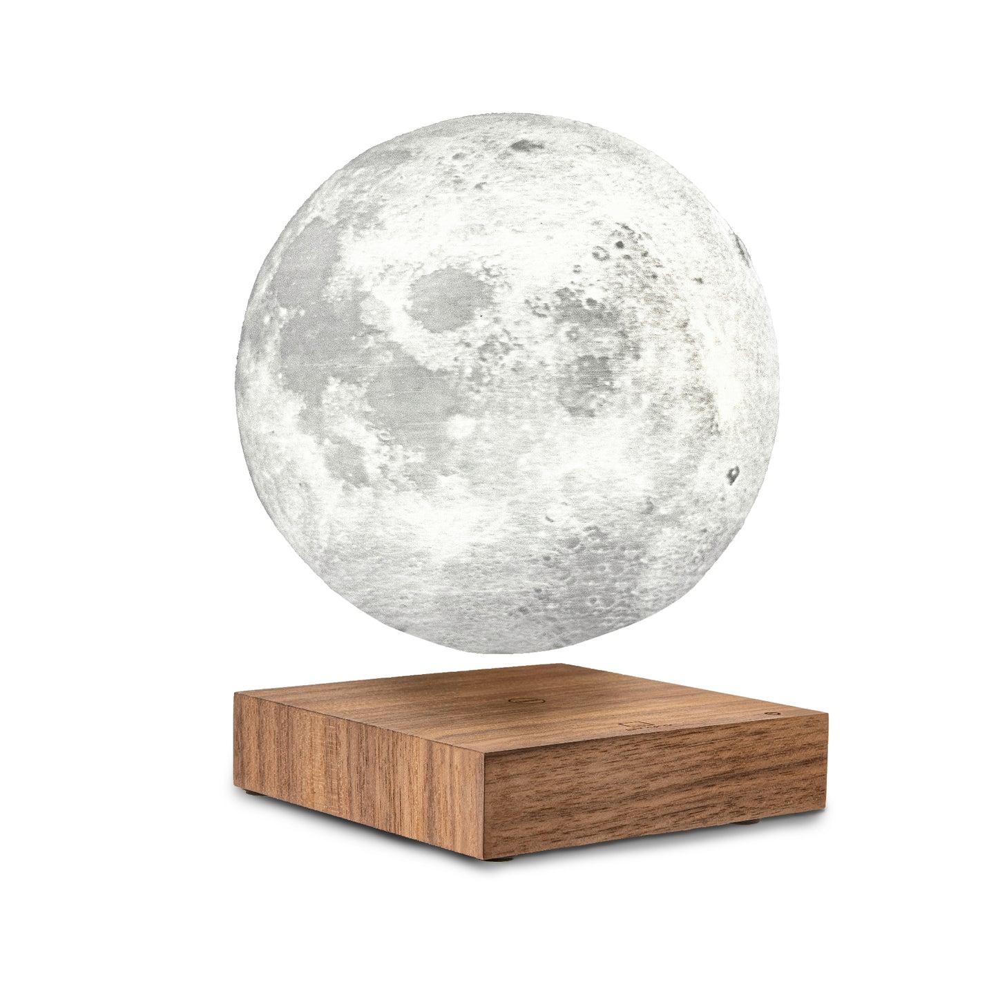 Gingko Moon Lamp on white background