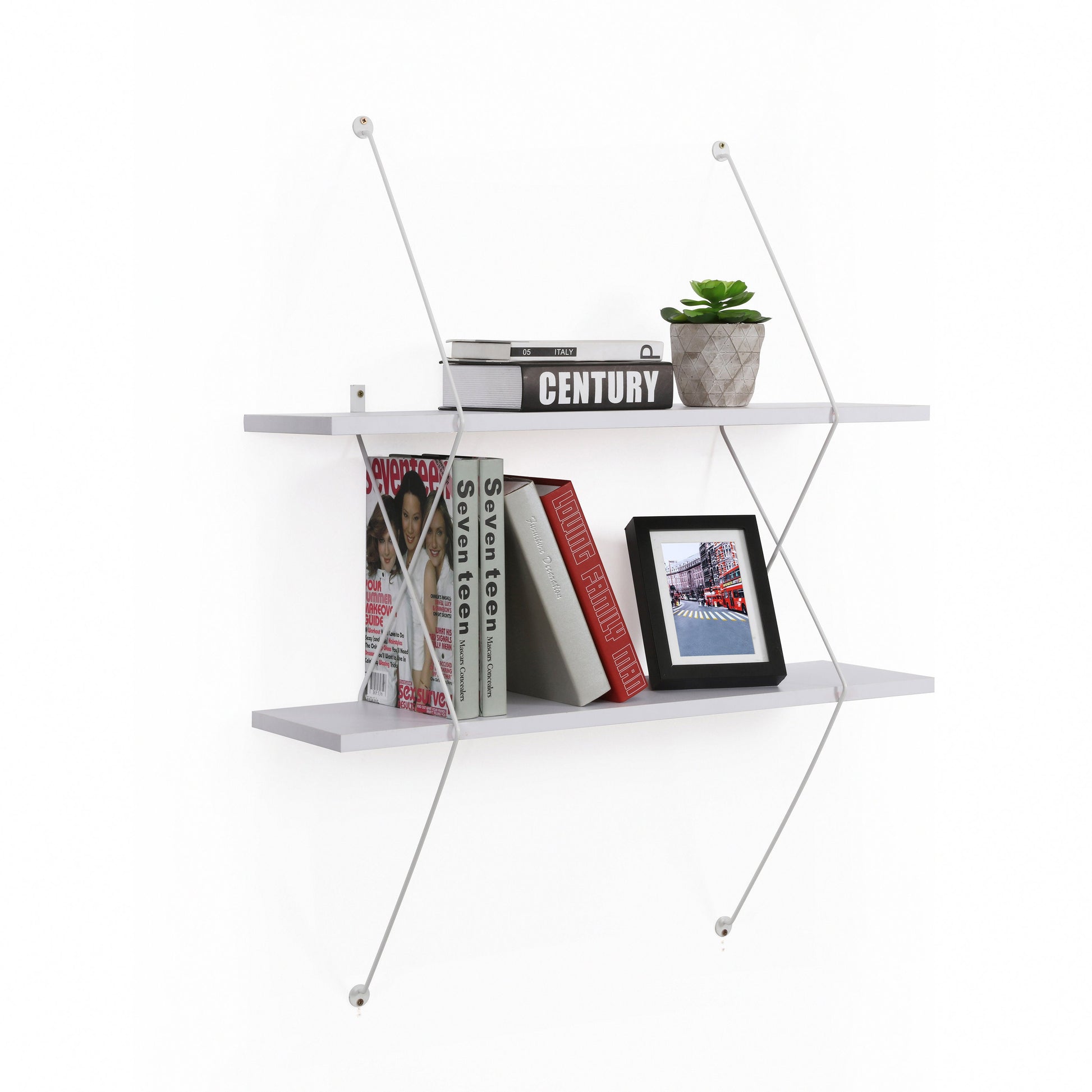 Contemporary shelving with books and plants on