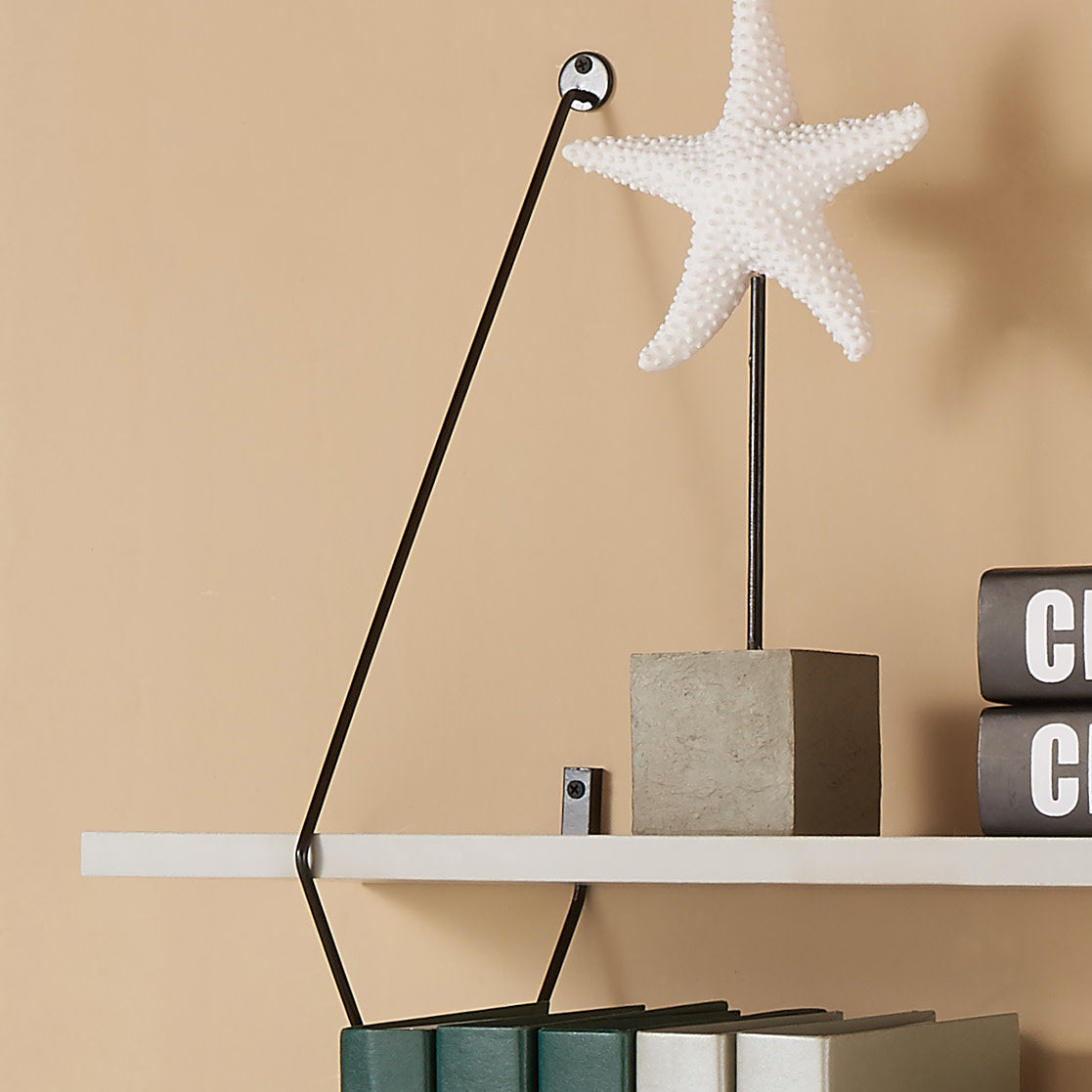 close up of contemporary shelving with a starfish ornament on top